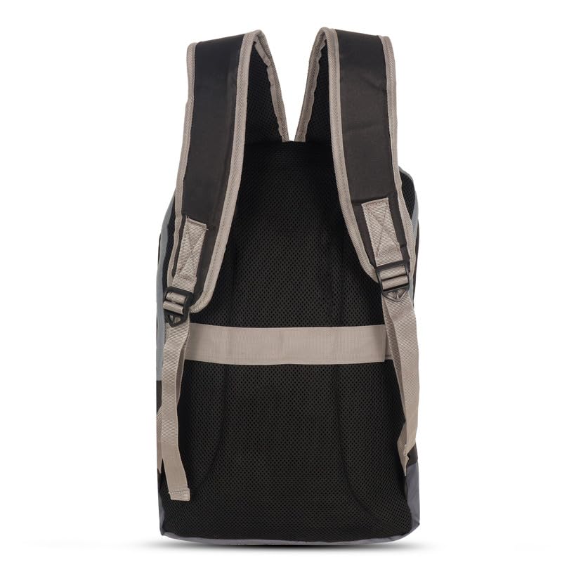 DENION Casual Backpack with 3 Compartments &Front Pocket | 16x12x3 Inches Polyester School &College Bag for Boys, Girls, Men &Women | Ideal for Office, Study &Travel – Black